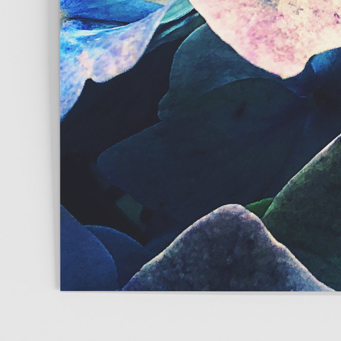 Blue Hydrangea Flower Botanical Poster Gallery Image 3