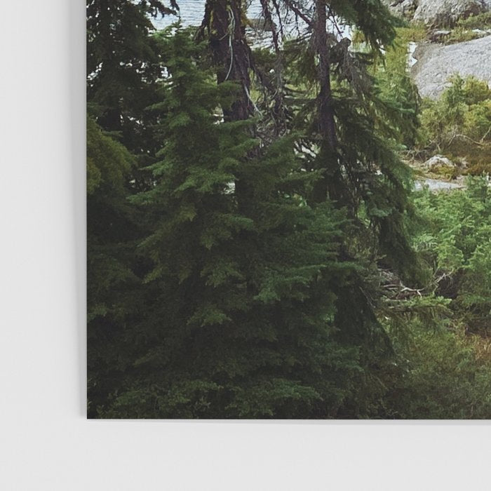 Summer in the Cascades Poster Gallery Image 3