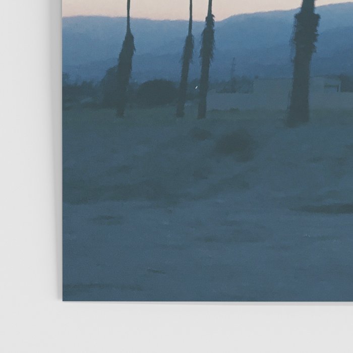 PALM TREES IN CALIFORNIA II Poster Gallery Image 3