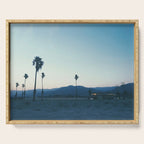 PALM TREES IN CALIFORNIA II Serving Tray Gallery Image 1