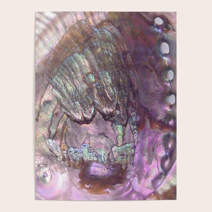 Shimmery Lavender Abalone Mother of Pearl Poster Gallery Image 4