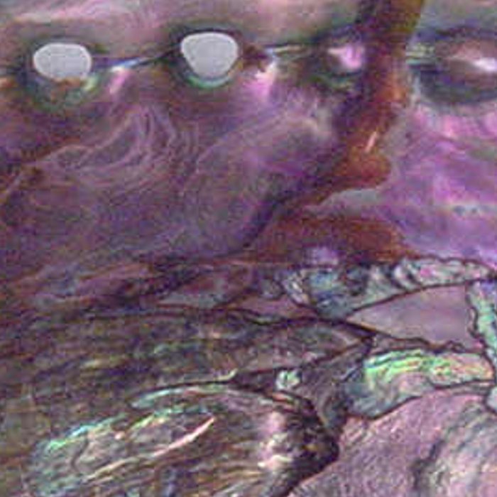 Shimmery Lavender Abalone Mother of Pearl Coffee Mug Gallery Image 2