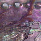 Shimmery Lavender Abalone Mother of Pearl Coffee Mug Gallery Image 2