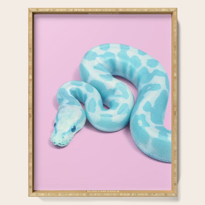 BLUE SNAKE Serving Tray Gallery Image 1