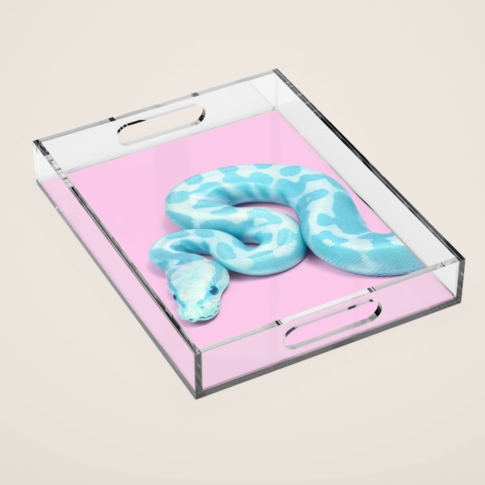 BLUE SNAKE Acrylic Tray Gallery Image 1