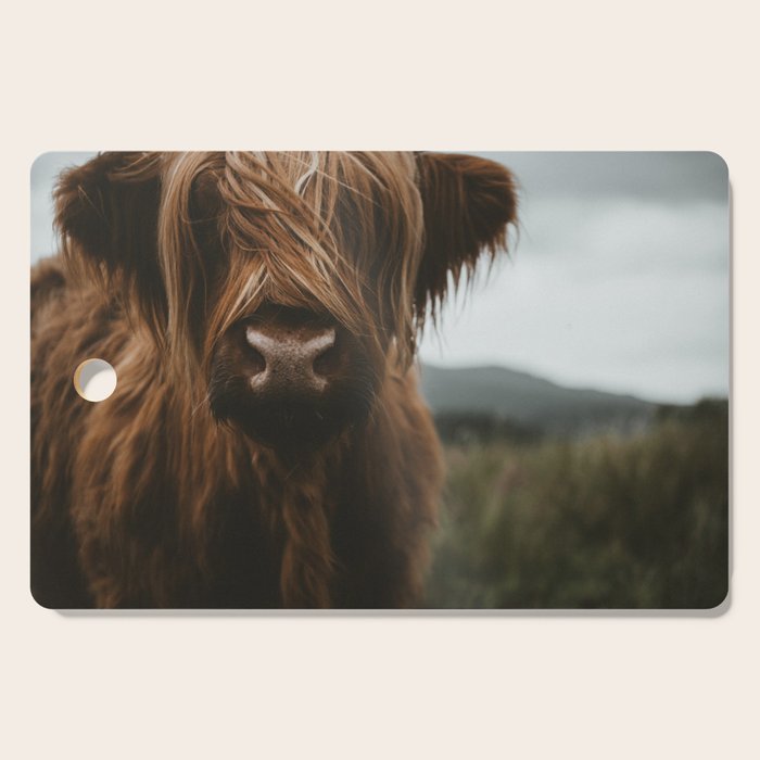 Animal Photography - Scottish Highland Cattle Cutting Board Gallery Image 1
