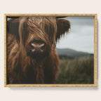 Animal Photography - Scottish Highland Cattle Serving Tray Gallery Image 1