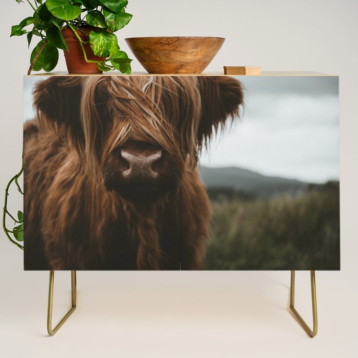 Animal Photography - Scottish Highland Cattle Credenza Gallery Image 1