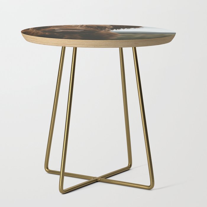 Animal Photography - Scottish Highland Cattle Side Table Gallery Image 1