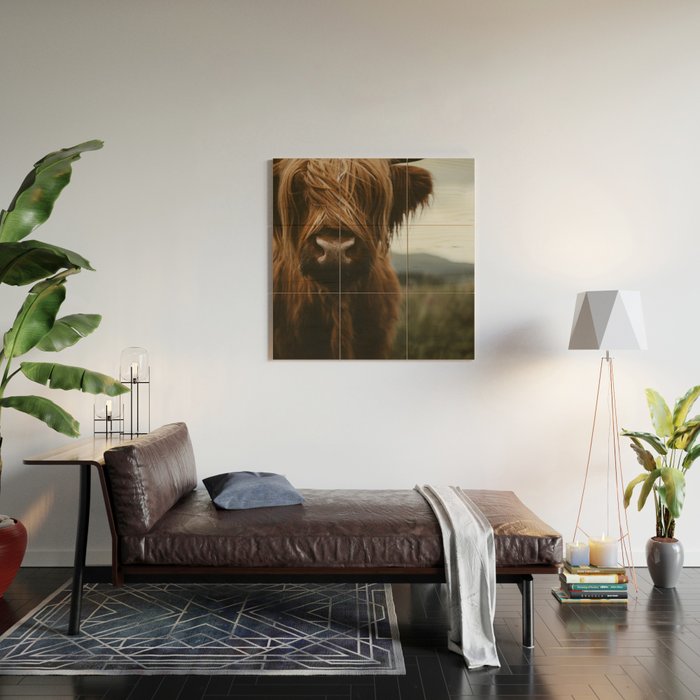 Animal Photography - Scottish Highland Cattle Wood Wall Art Gallery Image 2