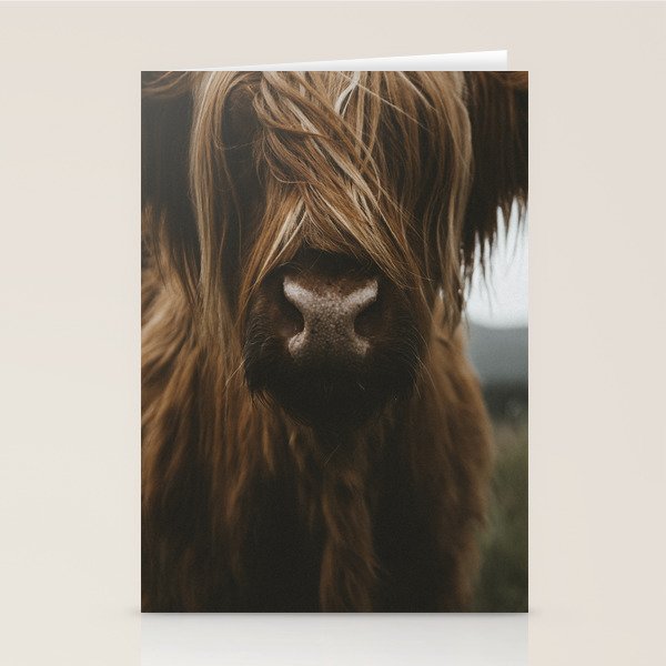 Animal Photography - Scottish Highland Cattle Stationery Card Gallery Image 2