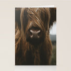 Animal Photography - Scottish Highland Cattle Stationery Card Gallery Image 2