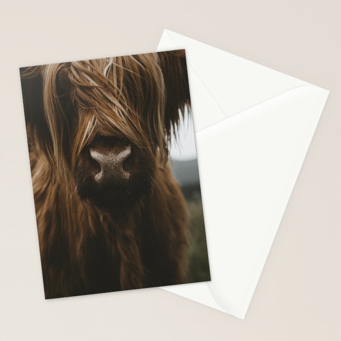 Animal Photography - Scottish Highland Cattle Stationery Card Gallery Image 2
