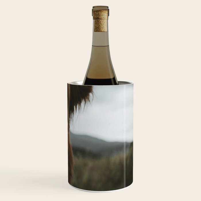 Animal Photography - Scottish Highland Cattle Wine Chiller Gallery Image 3