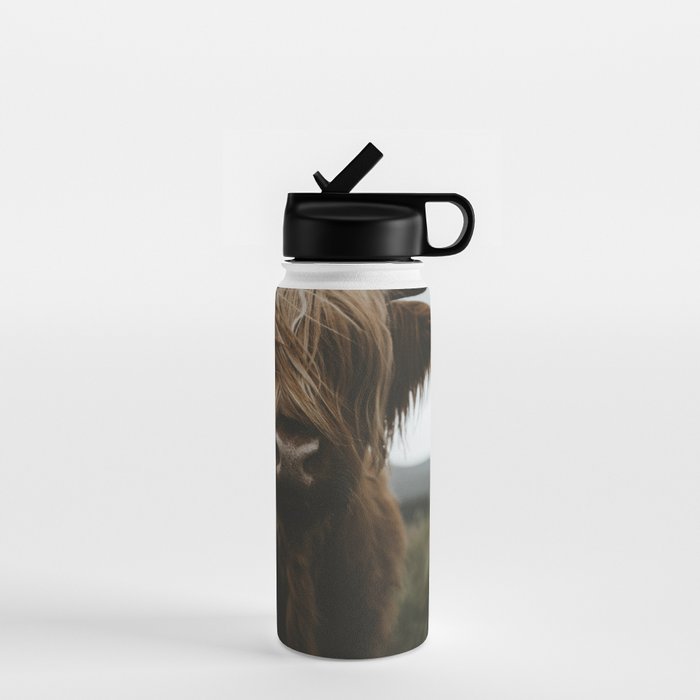 Animal Photography - Scottish Highland Cattle Water Bottle Gallery Image 1