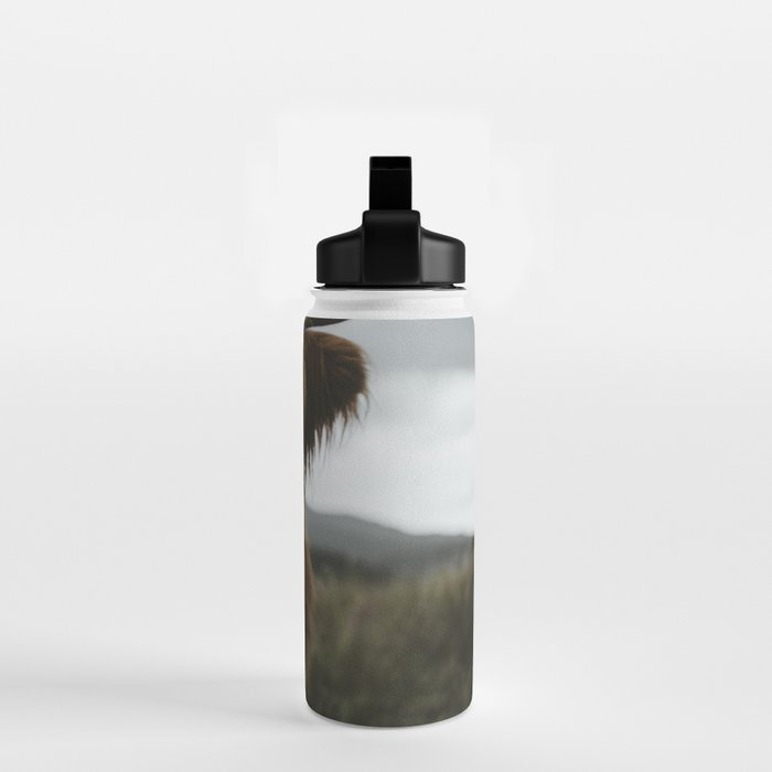 Animal Photography - Scottish Highland Cattle Water Bottle Gallery Image 2