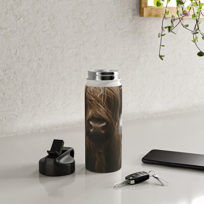Animal Photography - Scottish Highland Cattle Water Bottle Gallery Image 5