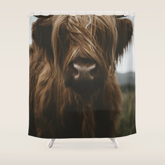 Animal Photography - Scottish Highland Cattle Shower Curtain Gallery Image 1