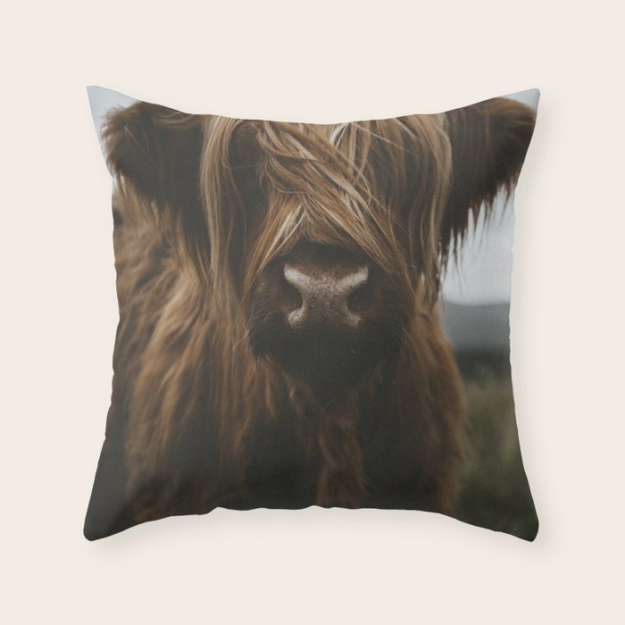 Animal Photography - Scottish Highland Cattle Throw Pillow Gallery Image 6