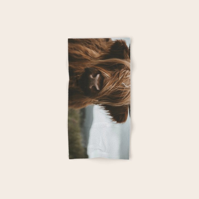 Animal Photography - Scottish Highland Cattle Bath Towel Gallery Image 1