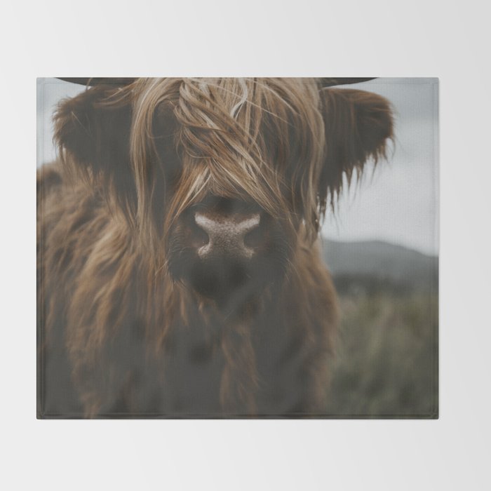 Animal Photography - Scottish Highland Cattle Throw Blanket Gallery Image 2