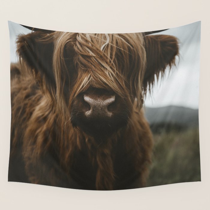 Animal Photography - Scottish Highland Cattle Wall Tapestry Gallery Image 1