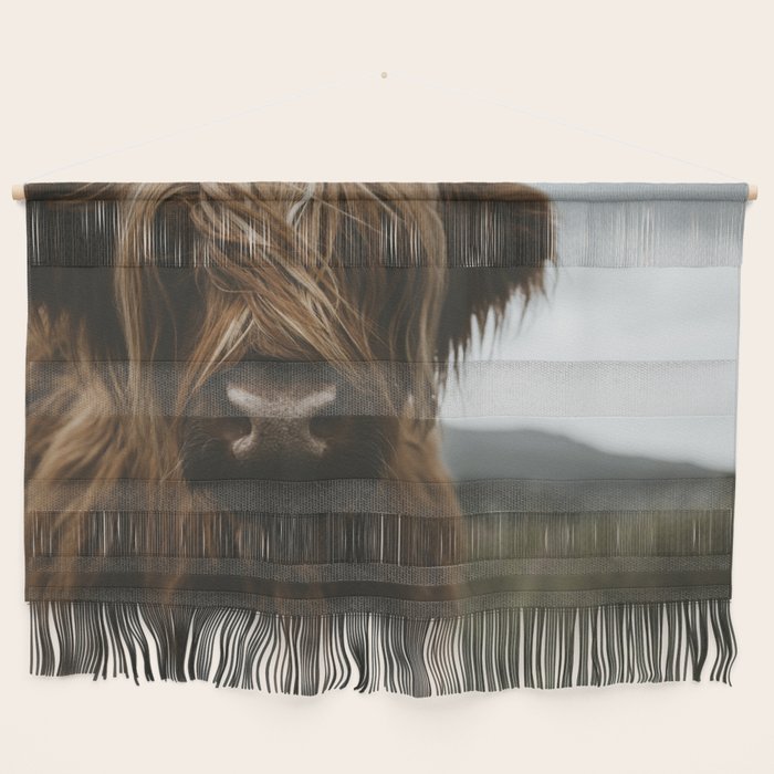 Animal Photography - Scottish Highland Cattle Wall Hanging Gallery Image 1