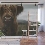 Animal Photography - Scottish Highland Cattle Wall Mural Gallery Image 1
