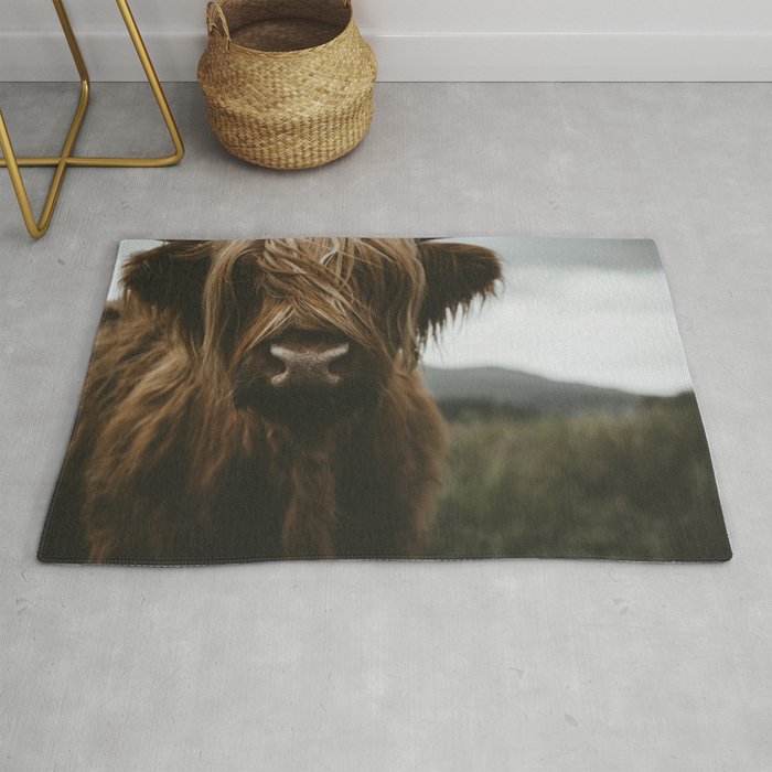 Animal Photography - Scottish Highland Cattle Rug Gallery Image 1