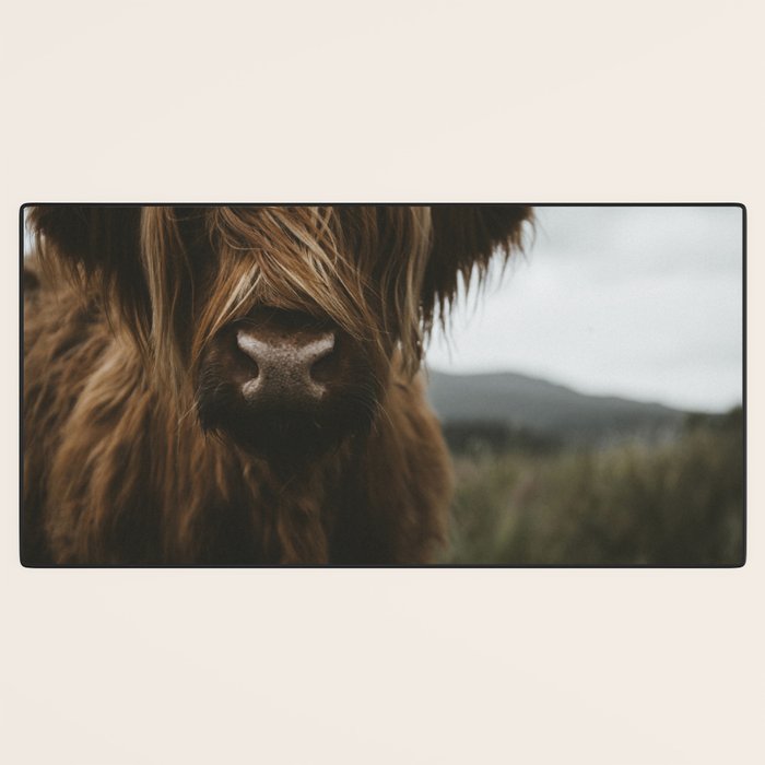 Animal Photography - Scottish Highland Cattle Desk Mat Gallery Image 3