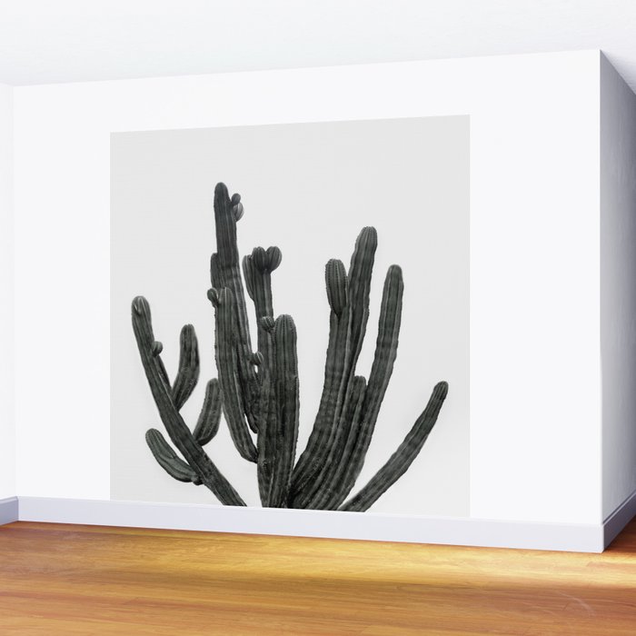 Black and White Cactus Wall Mural Gallery Image 2