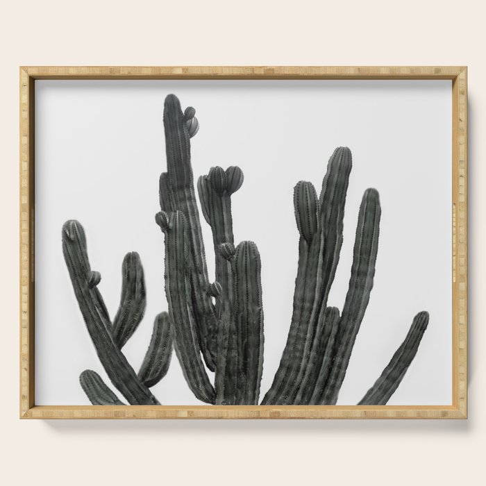Black and White Cactus Serving Tray Gallery Image 1