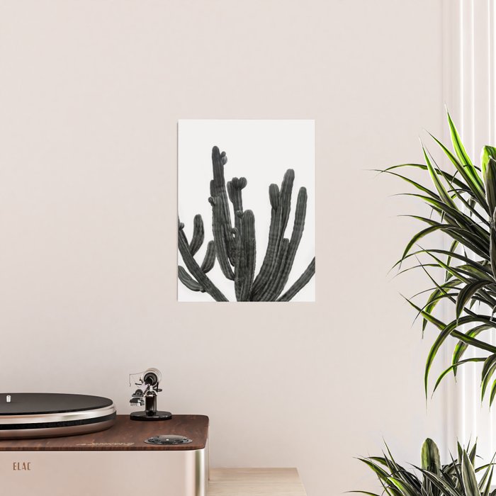 Black and White Cactus Poster Gallery Image 2