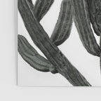 Black and White Cactus Poster Gallery Image 3