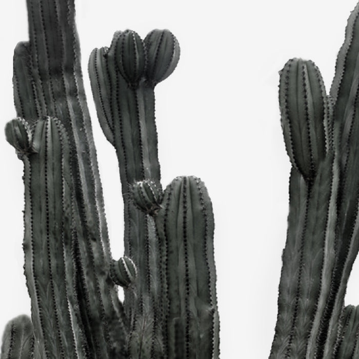 Black and White Cactus Coffee Mug Gallery Image 2