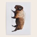 Buffalo In The Snow Poster Gallery Image 4