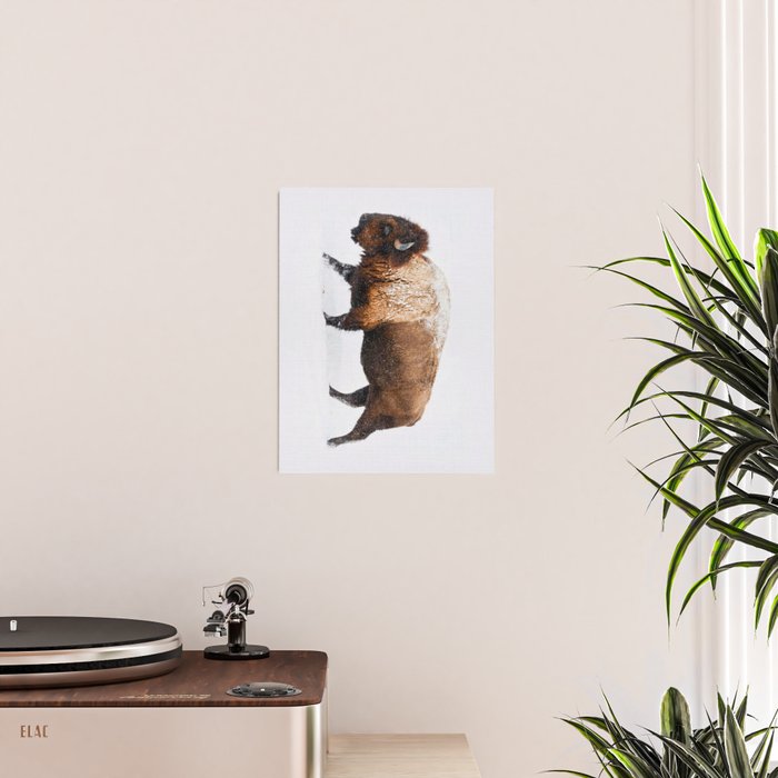Buffalo In The Snow Poster Gallery Image 2