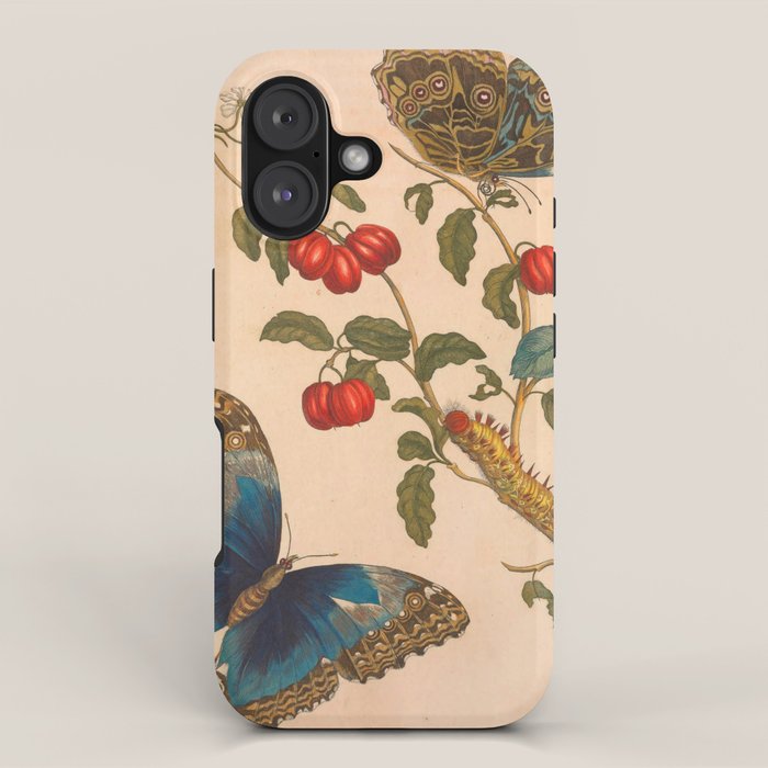 Butterfly metamorphosis by Maria Sibylla Merian, 1705 iPhone Case Gallery Image 1