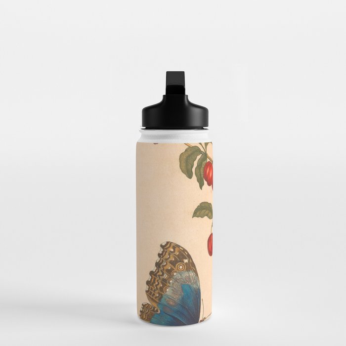 Butterfly metamorphosis by Maria Sibylla Merian, 1705 Water Bottle Gallery Image 3