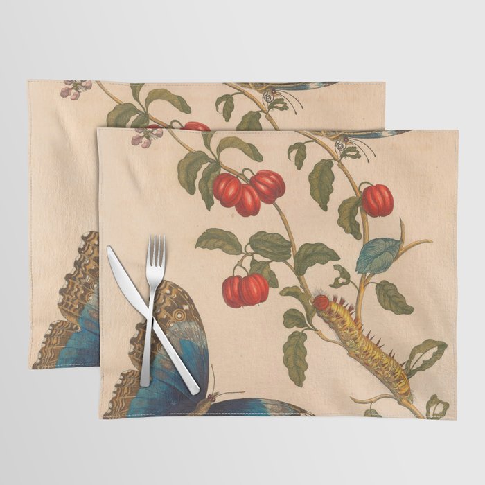 Butterfly metamorphosis by Maria Sibylla Merian, 1705 Placemat Gallery Image 1