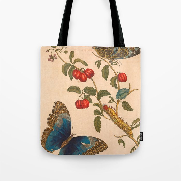 Butterfly metamorphosis by Maria Sibylla Merian, 1705 Tote Bag Gallery Image 1