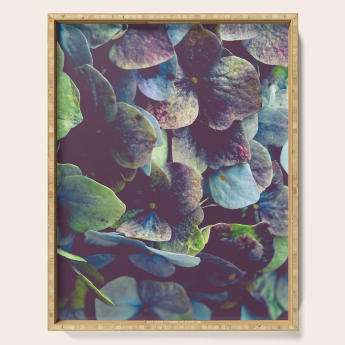Hydrangea Botanical 1 Serving Tray Gallery Image 1