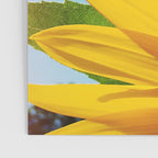 Summer Bliss Poster Gallery Image 3