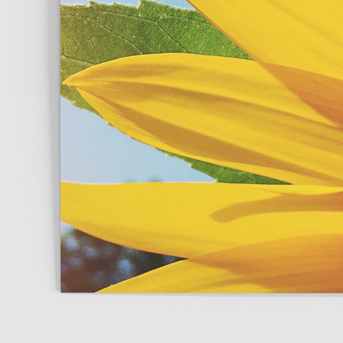 Summer Bliss Poster Gallery Image 3