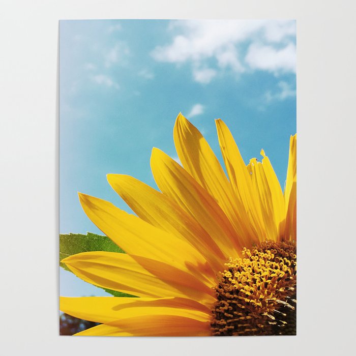 Summer Bliss Poster Gallery Image 1