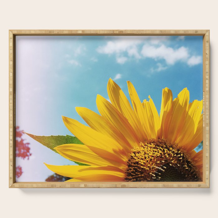 Summer Bliss Serving Tray Gallery Image 1