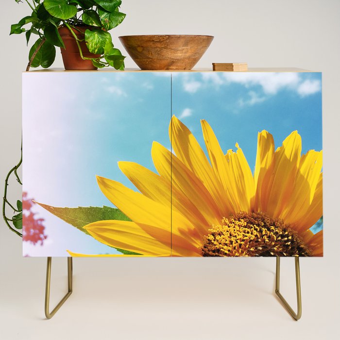 Summer Bliss Credenza Gallery Image 1