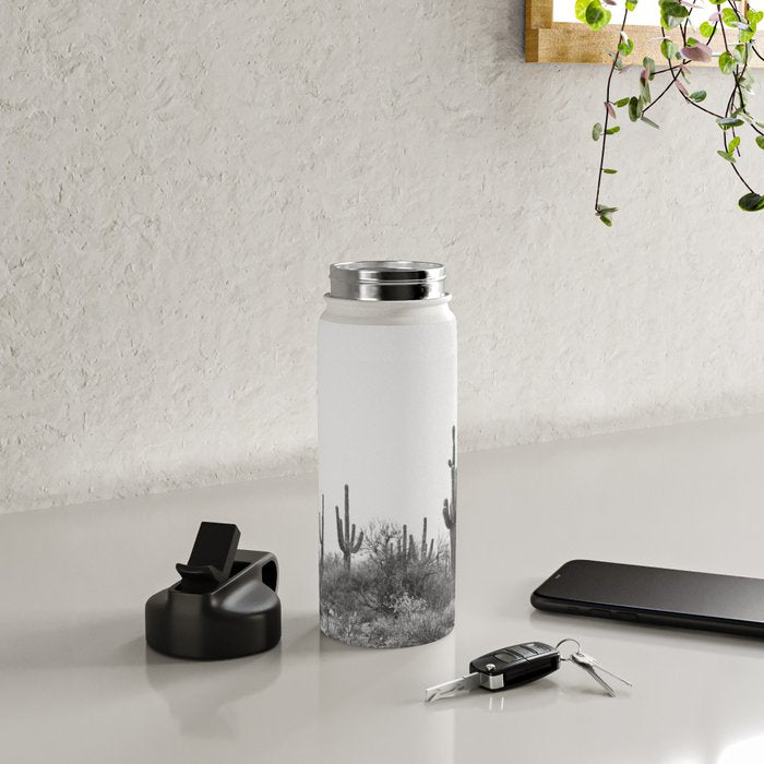 ARIZONA DESERT VI / Scottsdale Water Bottle Gallery Image 4