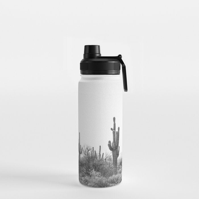 ARIZONA DESERT VI / Scottsdale Water Bottle Gallery Image 2