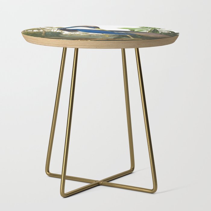 John James Audubon - Louisiana Heron Side Table Gallery Image 1